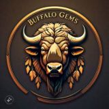 BUFFALO GEMS ARENA