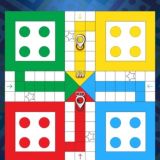 Vicky 24×7 5% online ludo culb