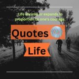 Quotes Life