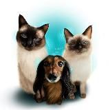 Двое в лодке, не считая собаки