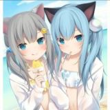 和平私人白号出售