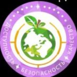 МБОУ СОШ 13, г.Новокузнецк, https://13-school.kemobl.ru