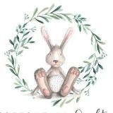 Bunny Rom детская одежда