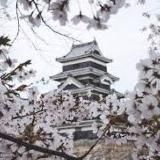 🎎 JAPAN Beauties