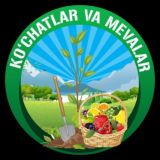 Куучатлар ( Kochat )