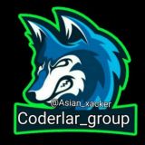 <Coderlar group>