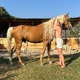 В деревушке у Аннушки