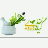 🍃 گیاهان دارویی 🍃