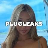 PlugLeaks Hub