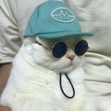 PumpCat's