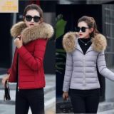 Internet magazin Pekin va Turkiya