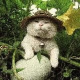 Nature | Природа 🌿