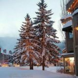 ☃️ᎽᏘᏁᎶI ᎽIL ᎦHUKUHI 🌲❄️