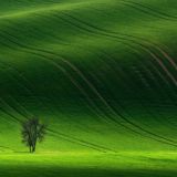 Семья на пути АЛЛАХа (1, 2, 3, 4, 5, 6️⃣ курсы)