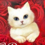 Открытки и Поздравления с Днём рождения