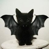 хейтеры вкозанчина