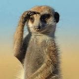 Кіра Єрьоміна