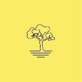 Венесуэла 🇻🇪 - Araguaney Latin