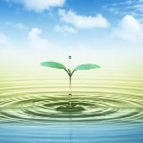 ННО для мира