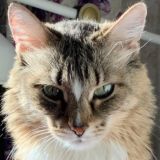 What’s Musya doing? 👀