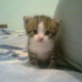 ПЕРЕЕЗД | ꒰ ♰ ꒱ сладкие таблетки ˖ֹׁ