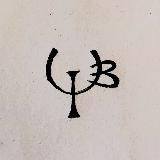 Шкварикова art