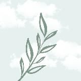 💨Вентиляция, бизнес, жизнь. Антон Спиридонов