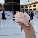 Salim Majid 🇦🇪