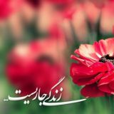 🌸 زندگے جاریست 🌸