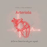 arteriola 🫀