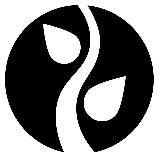 Rajdian — [ӕ] (Алик Пухати)