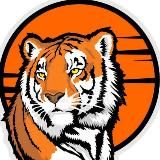 🐯 Владивосток 🌇 Новости Сейчас | Приморский край 💎 VDK_Tiger