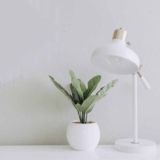 Рекомендации доктора Азизы