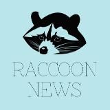 RACCOON