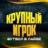 КРУПНЫЙ ИГРОК