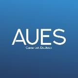 AUES UNIVERSITY