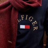 TOMMY HILFIGER ALL (chat)