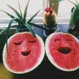 something about music🎶💣🎉