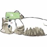 дневник литл свити