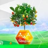 Телеканал «Радость моя»