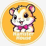 Hamster House | Хомяк – правильное содержание