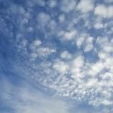 Sprüche, Aphorismen und Gedankentreibgut