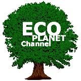 ECOPLANET🌱Channel