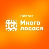 Работа и жизнь в Много лосося