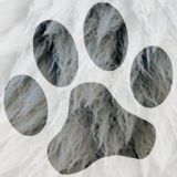 Anthrodex.com Social