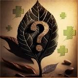 KRATOMHELPER.COM