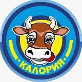 Фирма «Калория» (молоко, кефир, сметана, сыры с плесневой культурой)