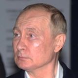 Как выглядит путин