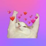 Пермский чат (36,6)