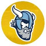 VIKING BET | ЛУЧШИЕ ПРОГНОЗЫ 💸